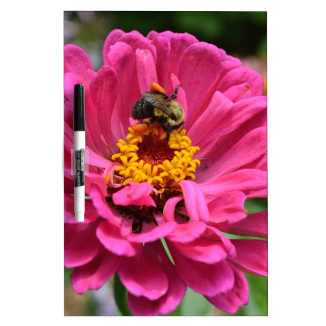 Elegant pink floral flower mum daisy honeybee dry erase board (Front)