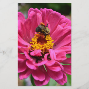 Elegant pink floral flower mum daisy honeybee stationery