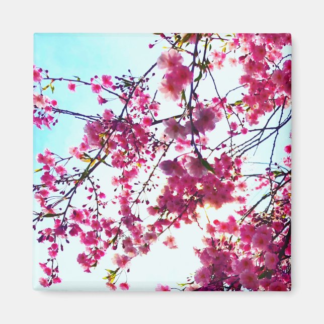 Elegant Pink floral flowers Cherry blossoms Magnet (Front)