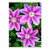 Elegant pink floral green botanical (Front)