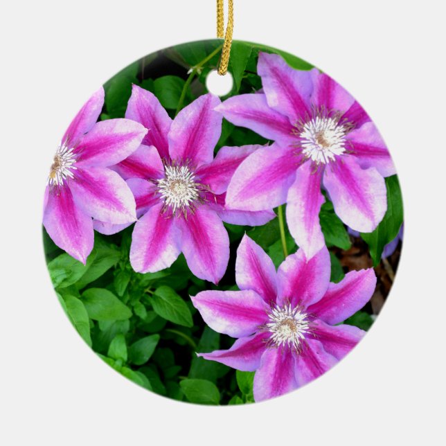 Elegant pink floral green botanical  ceramic ornament (Front)
