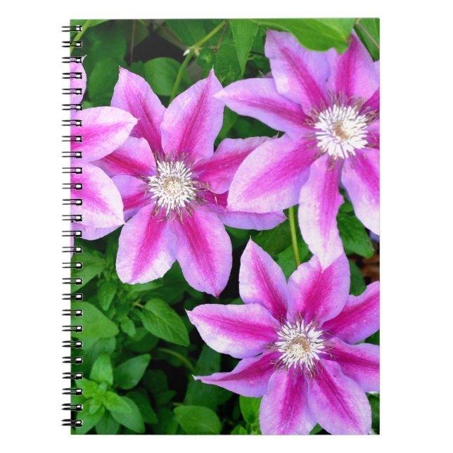 Elegant pink floral green botanical  notebook (Front)