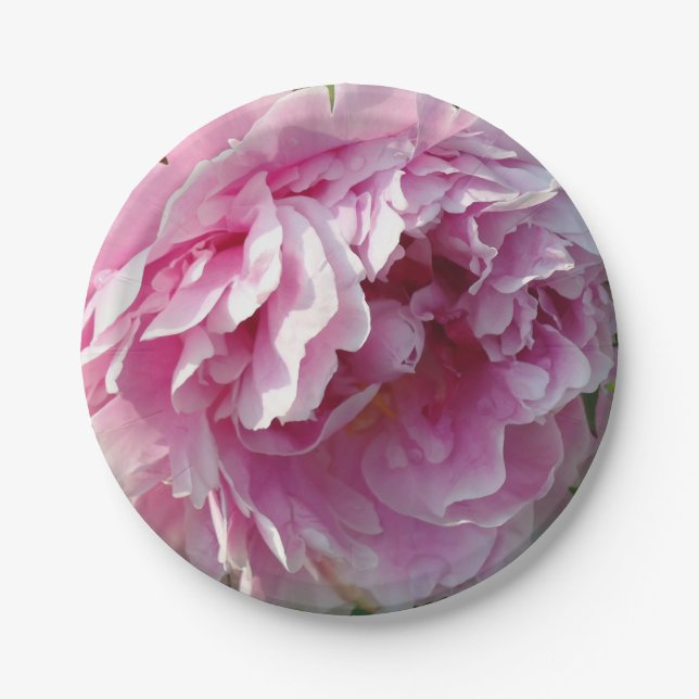 Elegant pink floral pink flower Pink Peonies Paper Plates (Front)