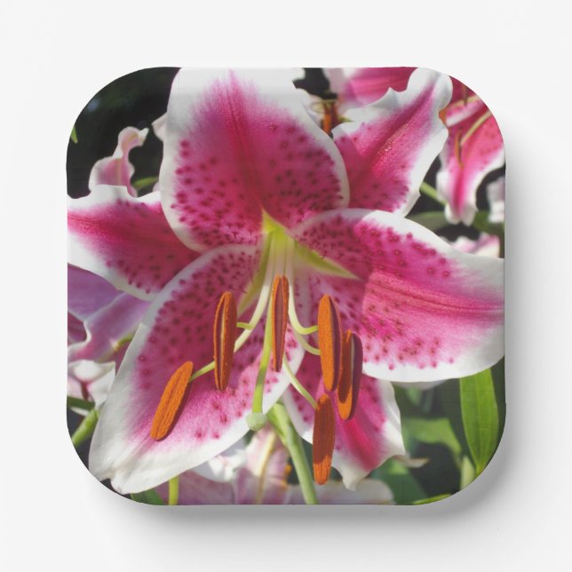 Elegant pink floral pink flower tropical flower paper plates (Front)
