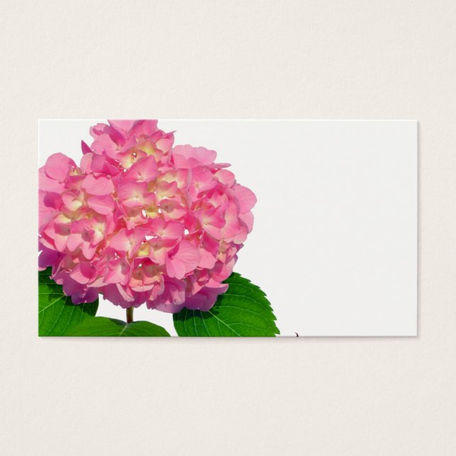 Elegant pink floral pink hydrangea  (Front)