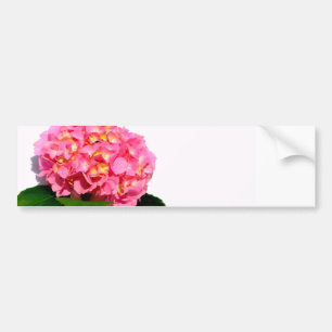 Elegant pink floral pink hydrangea bumper sticker