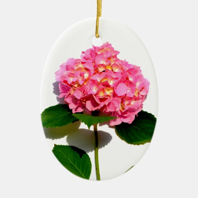 Elegant pink floral pink hydrangea  ceramic ornament (Front)