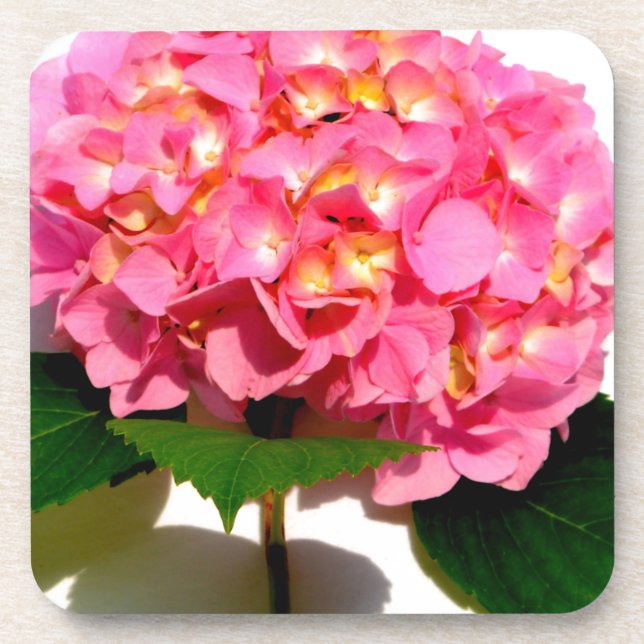 Elegant pink floral pink hydrangea  coaster (Front)