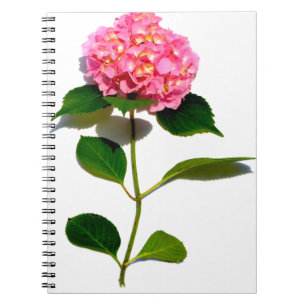 Elegant pink floral pink hydrangea notebook
