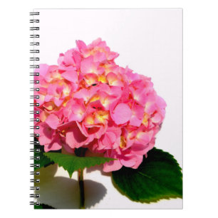 Elegant pink floral pink hydrangea notebook