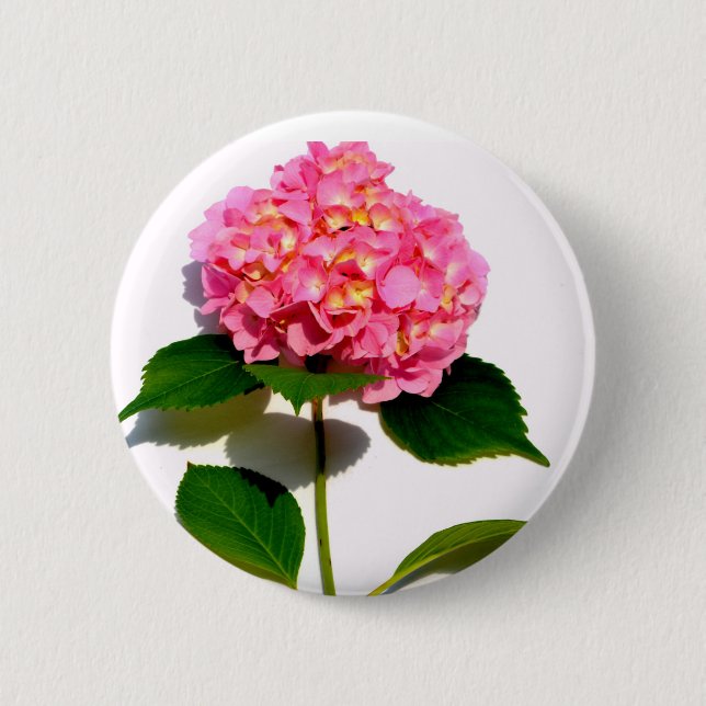 Elegant pink floral pink hydrangea  pinback button (Front)