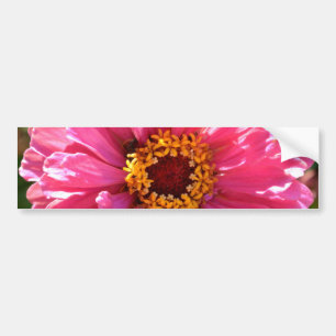 Elegant pink floral retro pink daisy bumper sticker