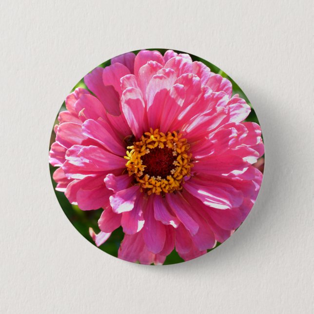 Elegant pink floral retro pink daisy  button (Front)