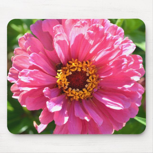 Elegant pink floral retro pink daisy  mouse pad (Front)