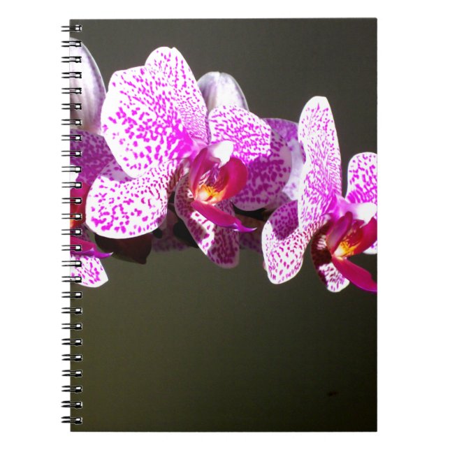 Elegant pink floral tropical pink orchids notebook (Front)