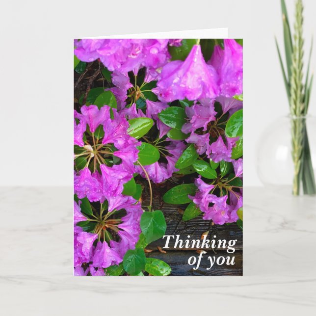 Elegant pink florals pink azaleas pink flowers card (Front)
