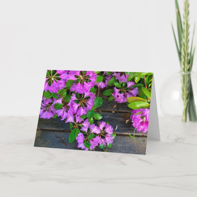 Elegant pink florals pink azaleas pink flowers card (Front)