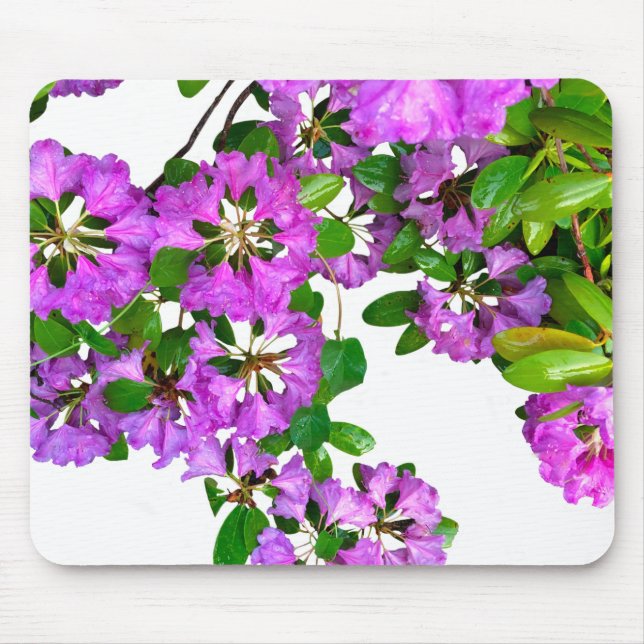 Elegant pink florals pink azaleas pink flowers mouse pad (Front)
