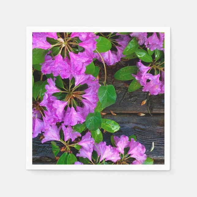 Elegant pink florals pink azaleas pink flowers napkins (Front)
