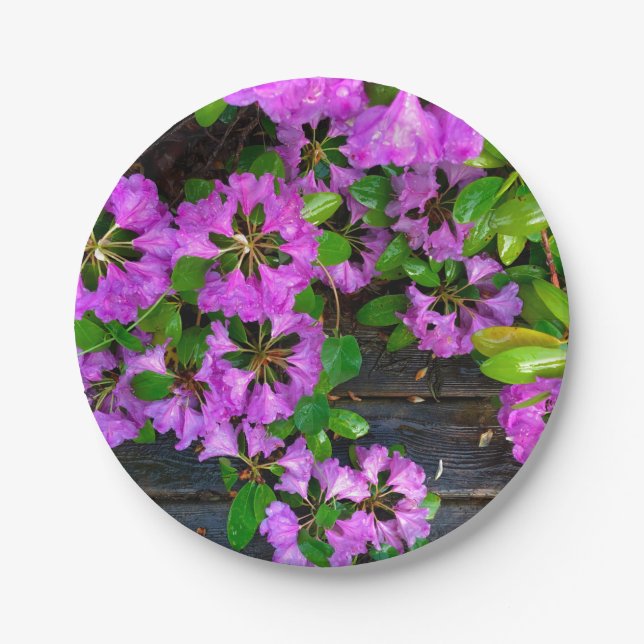 Elegant pink florals pink azaleas pink flowers paper plates (Front)