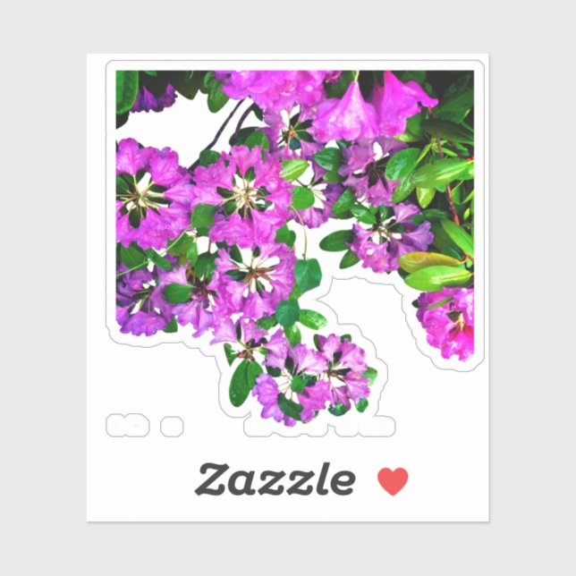 Elegant pink florals pink azaleas pink flowers sticker (Sheet)