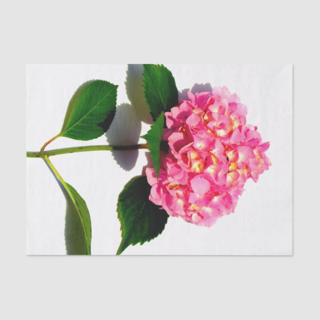 Elegant pink florals pink hydrangea  tissue paper (Front)
