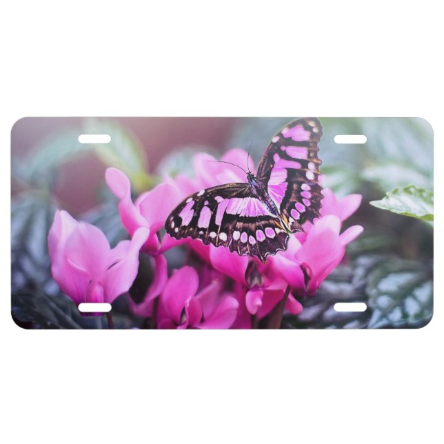 Elegant Pink Flower Pink Butterfly License Plate (Front)