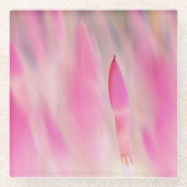 Elegant Pink Flower Print Coaster (Front)