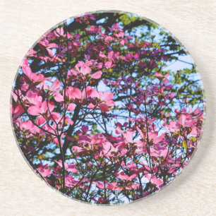 Elegant pink flowers florals blooming Dogwood tree Drink Coaster