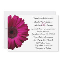 Elegant Pink Gerbera Daisy Wedding Invitation