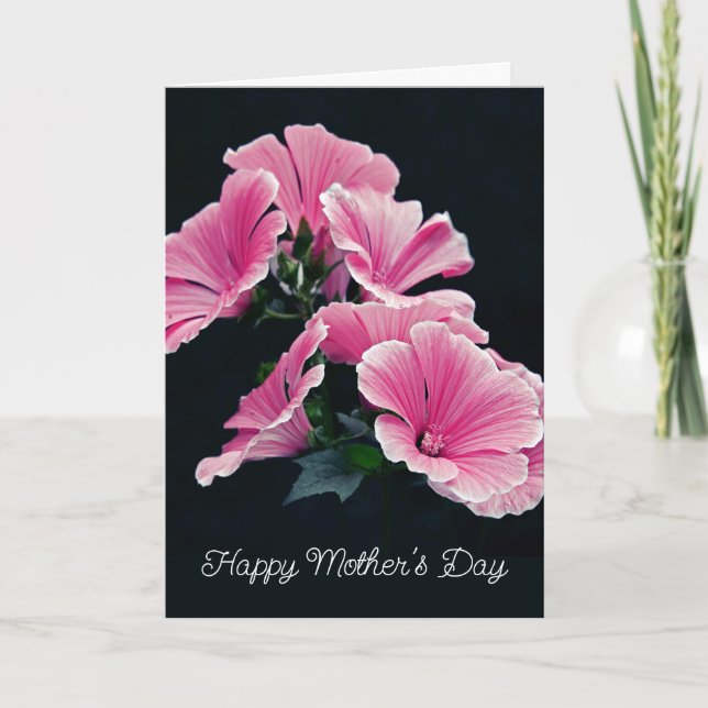 Elegant Pink Hollyhock Mallow Malva Flower Card (Front)
