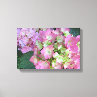 Elegant Pink Hydrangeas Canvas Print