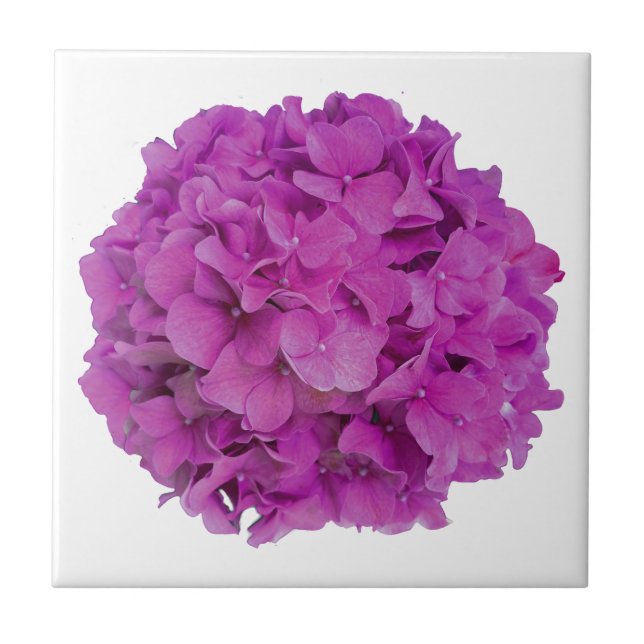 Elegant pink magenta floral hydrangeas roses  ceramic tile (Front)