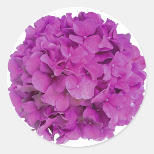 Elegant pink magenta floral hydrangeas roses  classic round sticker