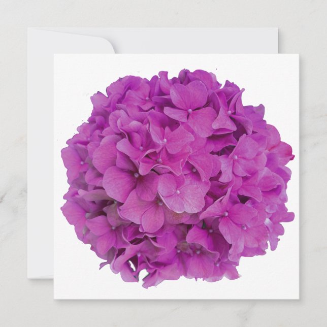Elegant pink magenta floral hydrangeas roses  invitation (Front)