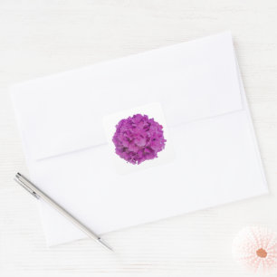 Elegant pink magenta floral hydrangeas roses square sticker