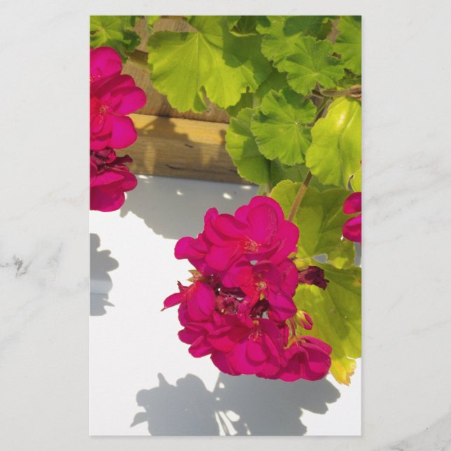 Elegant pink magenta red floral flowers stationery (Front)