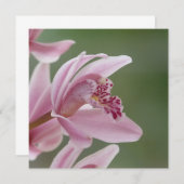 Elegant Pink Orchid (Front/Back)