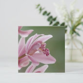 Elegant Pink Orchid (Standing Front)