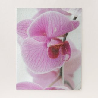 Elegant Pink Orchid Photo Jigsaw Puzzle