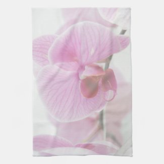 Elegant Pink Orchid Photo
