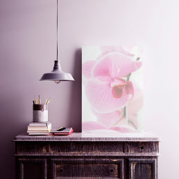Elegant Pink Orchid Photo Poster