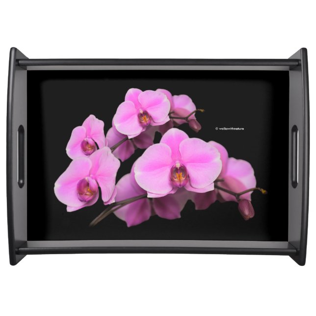 Elegant Pink Orchids Phalaenopsis on Black Serving Tray (Front)