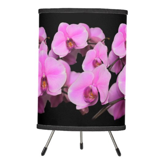 Elegant Pink Orchids Phalaenopsis on Black Tripod Lamp (Front)