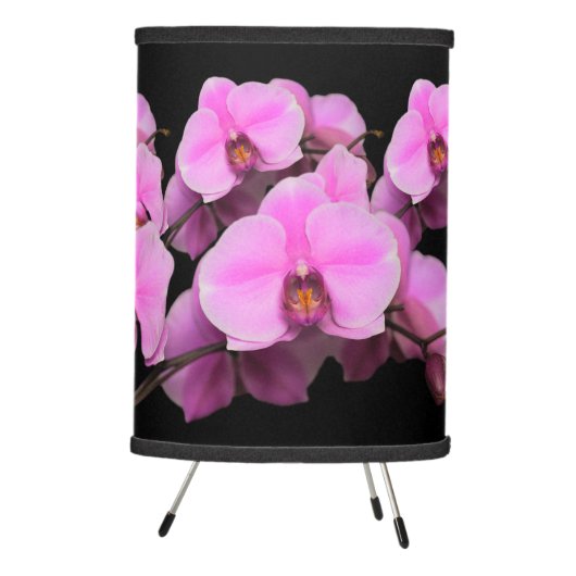 Elegant Pink Orchids Phalaenopsis on Black Tripod Lamp (Right)