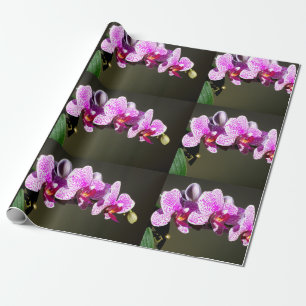 Elegant pink orchids tropical floral photo wrapping paper