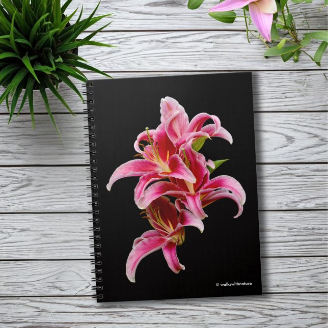 Elegant Pink Oriental Lilies Notebook (Elegant Pink Oriental Lilies Journal Cover Photo)