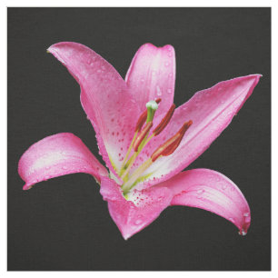 Elegant Pink Oriental Lily Lilium Stargazer Flower Fabric
