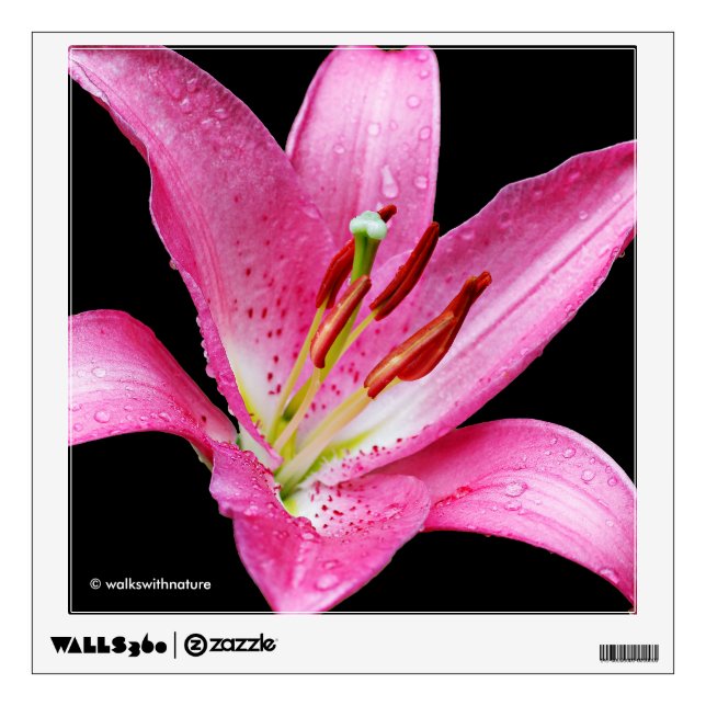 Elegant Pink Oriental Lily Lilium Stargazer Flower Wall Sticker (Front)