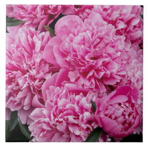 Elegant Pink peony, aesthetic floral photo Ceramic Tile